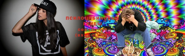 крисы Волоколамск